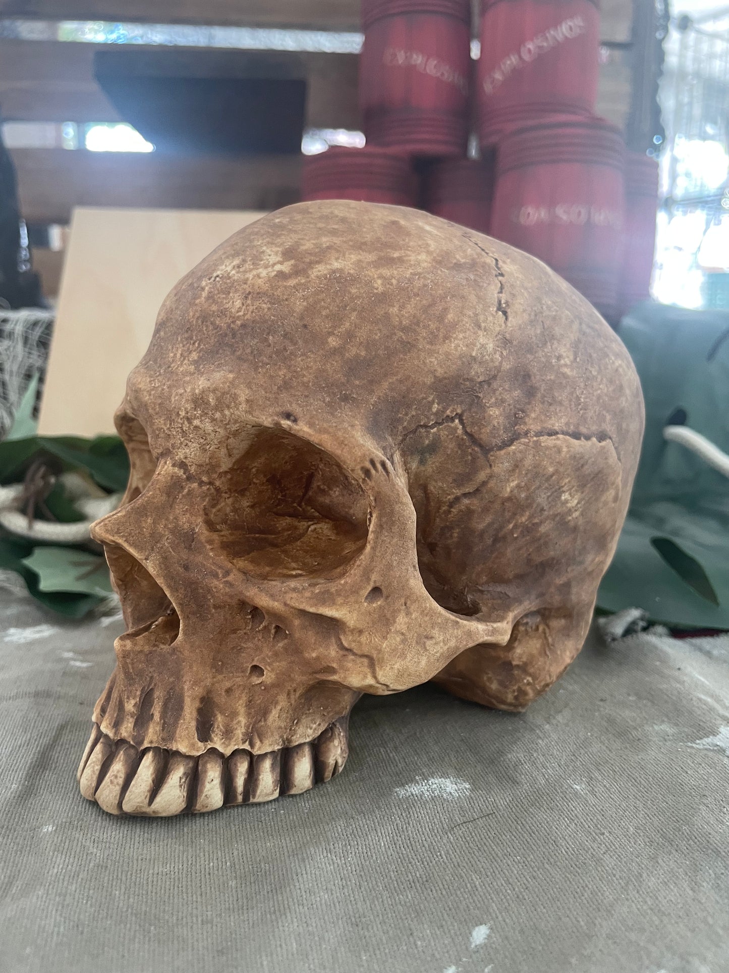 Skull Bowl Mug