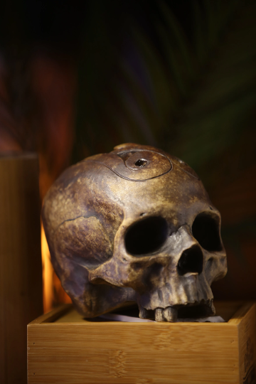 Skull Bowl Mug